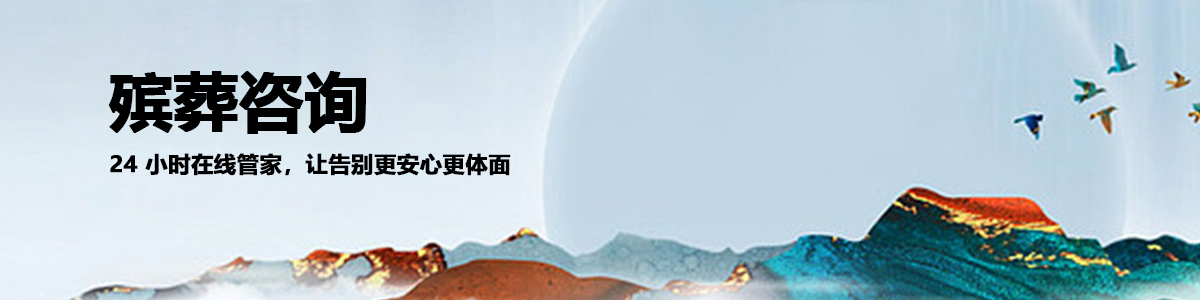 看墓专车